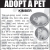 Adopt a Pet