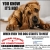 Plumbing Installation, Custom Sheet Metal & Remodeling