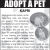 Adopt a Pet