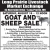 Goat and Sheep Sale