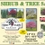 Up to 30% OFF Ornamental or Shade Trees
