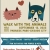 Walk With the Animals