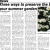Three Ways to Preserve the Beauty of Your Summer Garden