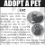 Adopt a Pet - Luz
