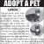 Adopt A Pet - Lenox