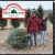 Cut Your Own Christmas Tree!