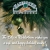 We Wish You a Safe and Happy Holiday Season!