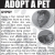 Adopt a Pet - Gypsy