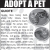 Adopt A Pet - Quiote