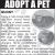 Adopt a Pet - Sunny