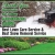 Best Snow Removal Services