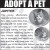 Adopt A Pet - Quiote