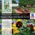 Best Garden Center