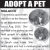 Adopt a Pet - Malachi