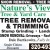 Tree Removal & Trimming