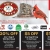 Best Pet Store