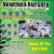 Best Garden Center Again!