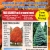 Balled and Burlap Shade Tree & Evergreen Sale!