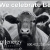 We Celebrate Beef Month