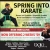 Spring Into Karate