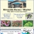 Hanging Baskets Starting at $31,99