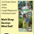 Malt Shop, Surreys, Mini Golf