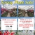 Spring Plant Sale!