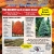 Balled and Burlap Shade Tree & Evergreen Sale!
