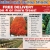 Balled and Burlap Shade Tree & Evergreen Sale!