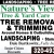 Tree Removal & Trimming