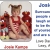 Joise Kamps - Surround Yourself With People Who Make Ypu Laugh and Inspire You to be the Best Version of Yourself
