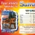 Your 2026 Guide to Summer