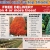 Balled and Burlap Shade Tree & Evergreen Sale!