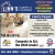 Update Your Flooring, Great Services & Excellent Installation