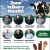 June is Dairy Month!