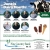 June is Dairy Month!