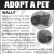 Adopt a Pet - Wally