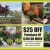 $25 Off Purchase of $100 or More on Trees - Shrubs and More