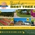 Best Tree Farm