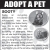 Adopt a Pet - Wally