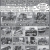 Consignment Auctions - Saturday, June 20th