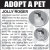 Adopt a Pet - Jolly Roger