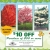 Best Landscaping Company!