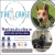 Best Dog Hotel & Spa!