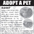 Adopt a Pet - Sunny