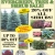 20% OFF All Shrubs!
