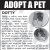 Adopt a Pet - Sully