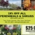 20% OFF All Perennials & Shrubs