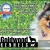 Best Kennel/Boarding Facilite and Best Pet Grooming!