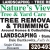 Tree Removal & Trimming